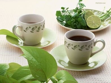 养生:林妹妹喝玫瑰茶 8种体质的夏季花茶食疗