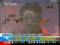 视频：李一13年前“水下闭气”视频被质疑