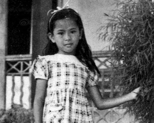 昂山素季：“缅甸玫瑰”是怎样绽放的？