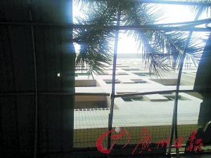 产妇临盆前坠楼死亡 母体中剖出重伤女婴