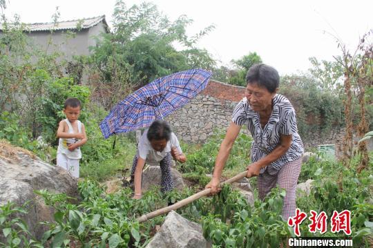 荒坡蜗居20年湖北七旬老太拾荒赡养九旬养母