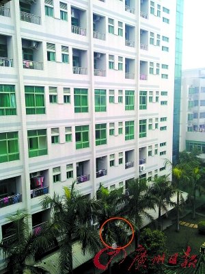 产妇临盆前坠楼死亡 母体中剖出重伤女婴