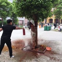  新郎被扒光泼狗血 拿灭火器喷 网友叹宁愿单身