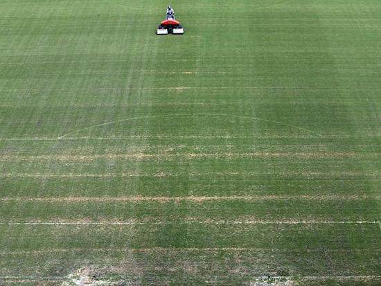 世界杯赛场草地贫瘠 工作人员喷绿漆补救(图)