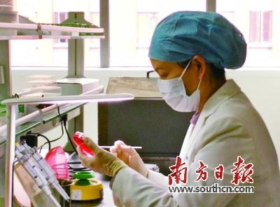 广东创新驱动发展大会召开 237个科技项目获奖