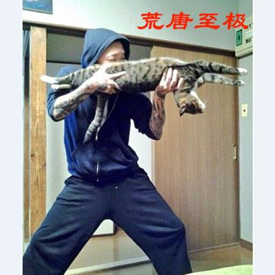 你们这是在招聘小三吗？