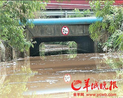 深圳女司机暴雨中在涵洞溺亡:曾致电安慰丈夫