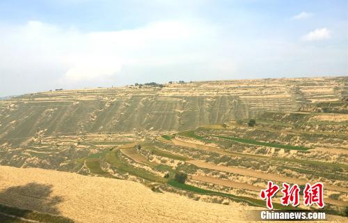 网络媒体走转改:红色地标上的“山景”合作社