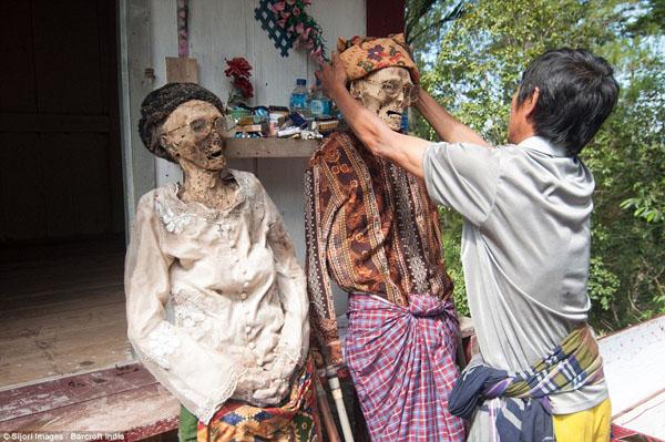 toraja村的人每年都要将亲人的尸体从地下挖出来,给他们穿上新衣服