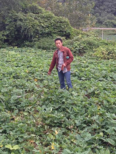 江西广福寺住持杀人：功德箱之争