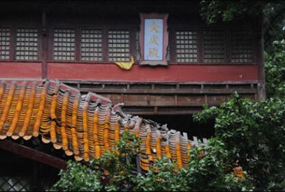 千年学府岳麓书院大成殿被古树压倒致一死两伤