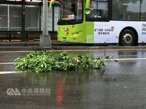 台湾气象部门观测，9月27日清晨5时，中度台风“鲇鱼”暴风圈已接触台湾东部陆地。图为台北街头路树断枝吹到路上 。台湾“中央社”记者张铭坤摄