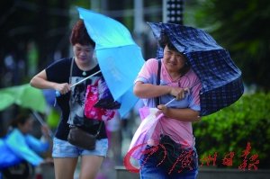 “温比亚”湛江登陆瞬时大风14级 广州普降大雨