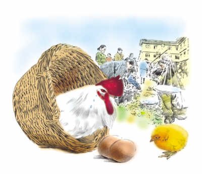养生须知:H7N9禽流感来袭 怎么吃鸡才更安全?