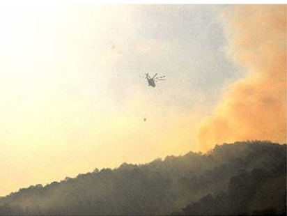 四川凉山冕宁县发生森林火灾 过火面积18公顷