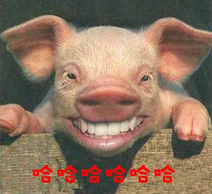 ΪǮˣ