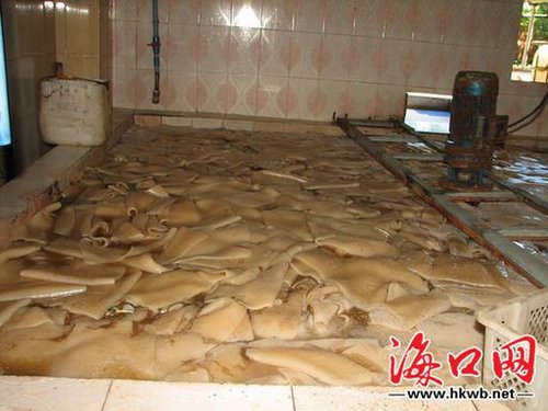 澄迈一椰果厂脏又臭:工人光膀穿<em>内裤</em> 苍蝇遍布