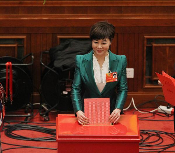央视前女主播叶迎春请辞全国政协委员职务