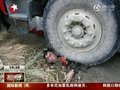 视频：乐清回应村主任被碾死事件 属交通意外