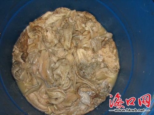 澄迈一椰果厂脏又臭:工人光膀穿<em>内裤</em> 苍蝇遍布