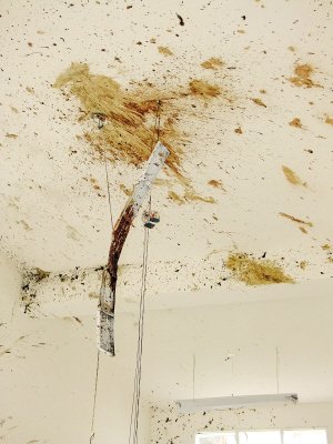 云南巧家爆炸案嫌犯家属坚称赵登用系替罪羊