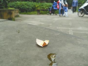 ����¥���Ӽ�������㳡�� ����·���޹�������