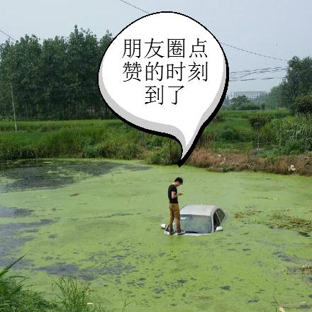 这是鼓励对熟人见死不救吗?_新闻_腾讯网