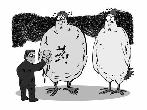 “药鸡”事件曝监管乏力:养鸡场称3年未被抽检过