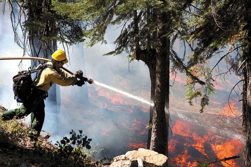 美猎人点火引国家公园大火 960平方公里成灰烬