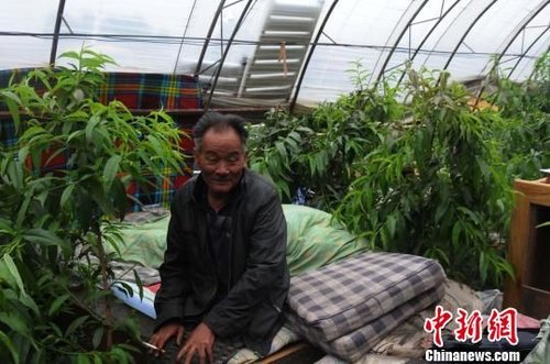 �Ÿ����������ڡ��¼ҡ��Ĵ��ϡ��������Ѿ���ʮ������Ÿ��������Ѿ�72���ˣ�23�ղ�Ǩʱ������һ����ס���񷿱����������������ڼ�ʲ���޴���ȥ����������ʱ�����ڸ���һ���������������Ҵ�������Ѿ�