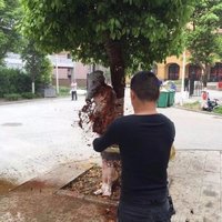  新郎被扒光泼狗血 拿灭火器喷 网友叹宁愿单身