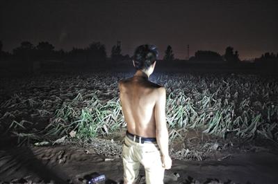媒体调查邢台洪灾:预警电话几乎与洪灾同时到达