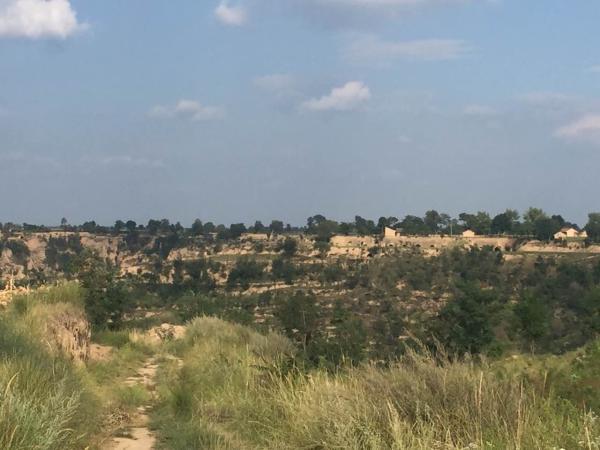 �����鷸�44���永����35�߱�����ɽ������