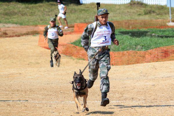 “军事奥运”:中国军犬队赢得首个团体冠军 - 海阔山遥 - . 军犬为中国赢得首个“军事奥运”团体冠军