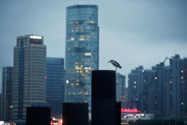 楼市新政第一周一线城市回暖 北京成交量涨16