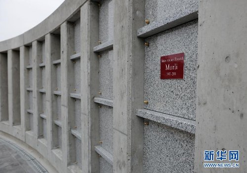 组图:奥地利维也纳首个宠物墓园投入使用