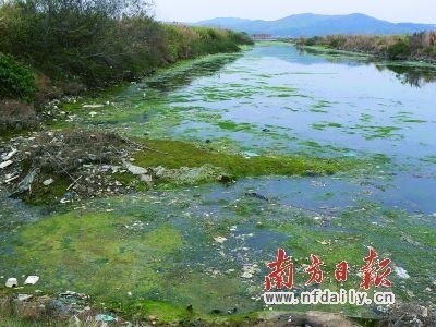 根据环保厅数据,粤东诸河水质最差,惠莞深交界河流污染严重,河流治理