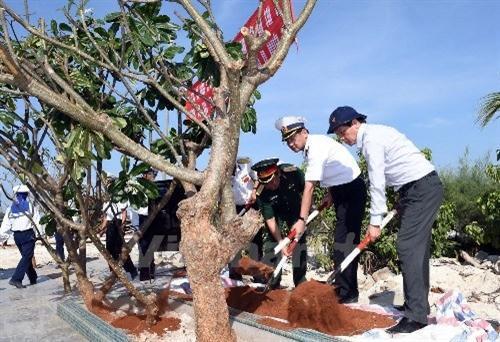 越南在侵占的中国南沙群岛修建武元甲公园