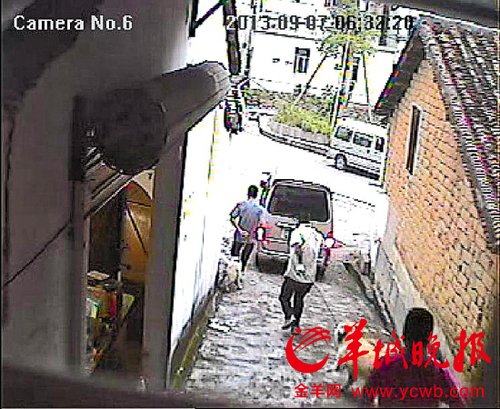 火锅旺季偷狗事件频发 窃贼持匕首电棒手段残忍