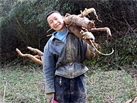 ��838�ڣ��żҽ��ڸ���
