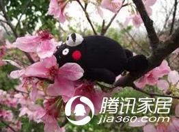 有没有恋母情结上床就知道了