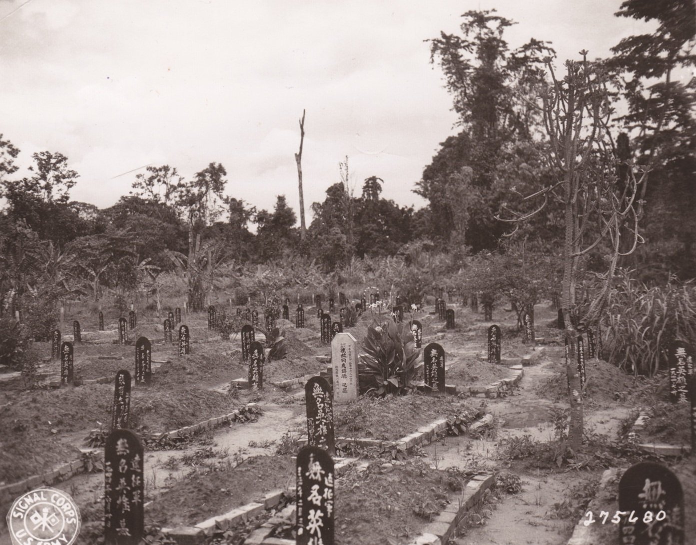 中国军人墓地的墓碑。拍摄于印度阿萨姆邦列多镇,1945年5月21日。 中国军人墓地的墓碑。拍摄于印度阿萨姆邦列多镇,1945年5月21日。