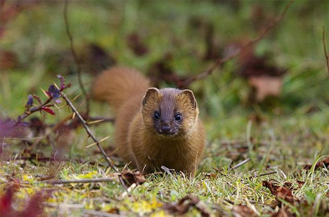 百景工布摄影大赛获奖作品展