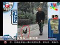 视频：成都街头现潇洒“遛鸡哥”受质疑
