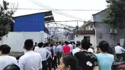 致命实验：死于导师工厂的研究生