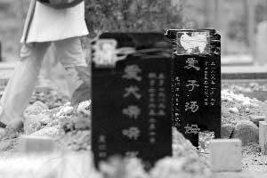 北京每年近20万只宠物死亡 市民自行填埋存隐