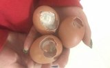 幼儿园疑用变质食材 鸡蛋发霉面粉有杂质
