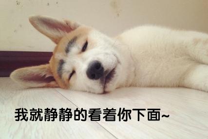 珍爱生命，远离渣男！