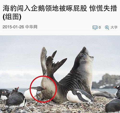 姑娘,你真的这么缺爱吗?