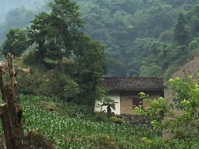 吴家土屋。摄影/三桃 吴家土屋。摄影/三桃